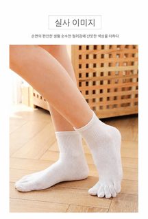 신상품 사탕색 춘추 중통 여성 순면 다섯 손가락 양말 심플 순색 전체 면 분