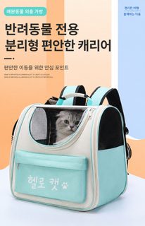 대형 통기성 캡슐 고양이 이동가방 자외선 차단 반려동물 외출용 어깨가방