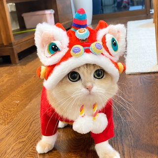 애완동물 새해 호랑이 머리 모자 가을 겨울 보온 강아지 고양이 괴상한 변
