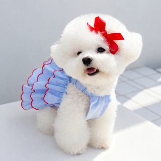 여름 얇은 펫 공주 개 치마 테디 비숑 파투 고양이 원피스 고양이 옷 강아지 용품
