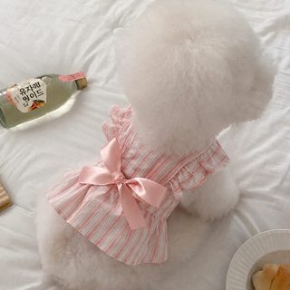狗狗猫咪春夏季可爱小飞袖条纹连衣裙宠物小狗衣服薄款比熊约克夏