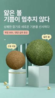 새로운 고양이 박하 공 장난감 초대형호 고양이 신기 벌레 혹공 이를 갈고