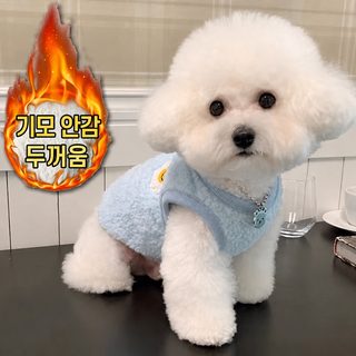 비심 애완동물 옷 가을 겨울옷 강아지 기모 두꺼운 고양이 테디 비숑 보미 작은 강아지 시너리