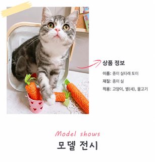 고양이 장난감 당근 방울 낚싯대 실내 혼자놀이 스트레스 완화 용품