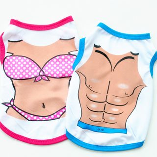 공장 직판 신형 면 애완견 가슴 근육 비키니 조끼 테디 비숑보
