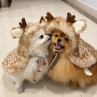 크리스마스 반려동물 순록 망토 강아지 고양이 보온 코스튬 모자 의상