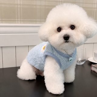 加绒加厚保暖宠物背心狗狗衣服猫咪泰迪比熊博美小型幼犬雪纳瑞
