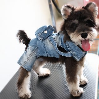 강아지 데님 백팩 사족 올인원 소형견 푸들 비숑 봄가을 겨울옷