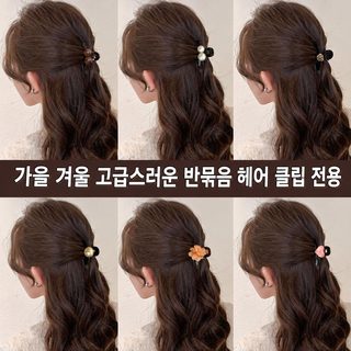 가을, 겨울 카색 작은 집게 여자 반묶음 뒷머리 머리핀 옆머리 머리핀 고급