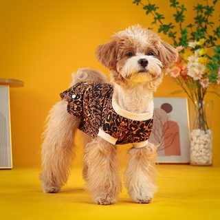 宠物衣服连体裤狗狗防骚扰包肚子经典犳纹连体背心薄春夏款