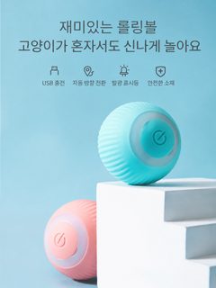 고양이 강아지 장난감 오락 스스로 답답함을 풀다 고양이 자동 고양이 공