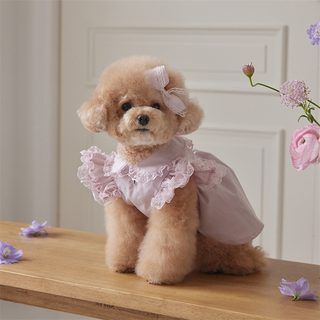 애완동물 옷 강아지 고양이 가을 겨울 레이스 소매 여성용 원피스 공장 소체 테디비베어
