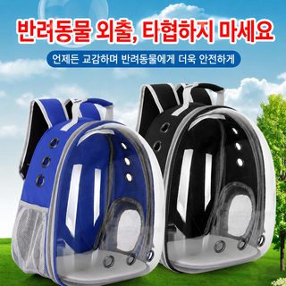 고양이 이동장 투명 우주선 백팩 통기성 대용량 반려동물 외출 가방