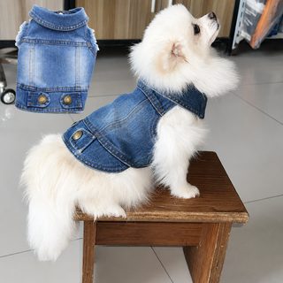 강아지 데님 조끼 푸들 비숑 테디베어 빈티지 워싱 반려견 봄가을 패션 베