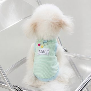 봄 여름 강아지 전면 색직 스트라이프 조끼 중소형견 양발옷 고양이 여름 통기 애완동물 옷
