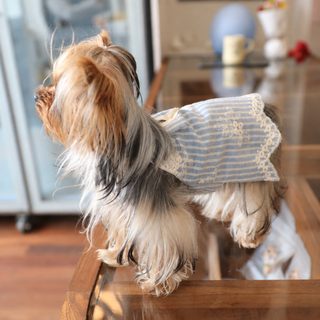chic tails 강아지 스트라이프 자수 면 원피스 통기성 좋은 소형견 여름옷