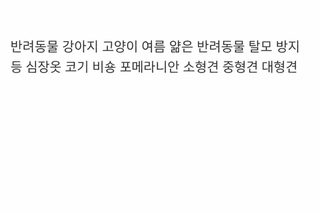 강아지 고양이 여름 얇은 조끼 자외선 차단 털빠짐 방지 반려동물 옷 코키