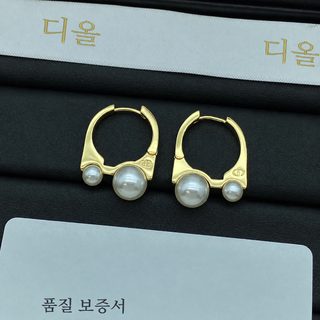 유럽과 미국 크로스보더 D집 신형 크기 진주 귀걸이녀 패션 심플하고 대범