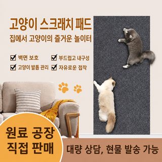 고양이 쿠션 벽에 붙이기 고양이 쿠션 고양이 신기를 놀리면 부스러기를 견딜 수 없다 고양이 기어오르기 고양이 널빤지 소파 기어오르기 벽에 견딜 수 있다