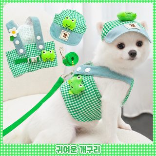 개구리 봄여름 애완동물 가슴 멜빵 견인줄 세트 고양이 강아지 옷 소풍 외