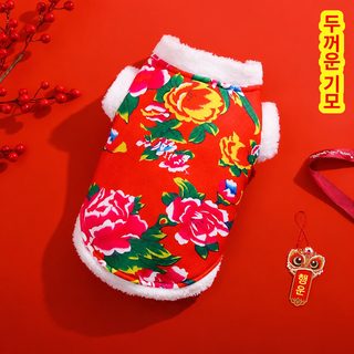 새해 당복 강아지 큰 꽃 솜저고리 조끼 테디 비베어 작은 강아지 가을 겨울