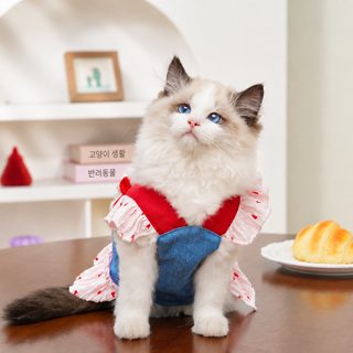 오리지널 가슴 멜빵 애완견 고양이 옷 테디 비숑 파투 시나리 개 고양이 원피스 개 용품