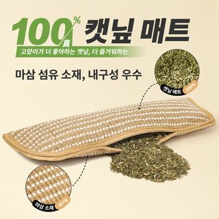 이를 갈면 씹을 수 있는 고양이 박하 쿠션 스케일링 고양이 장난감 사탕 오