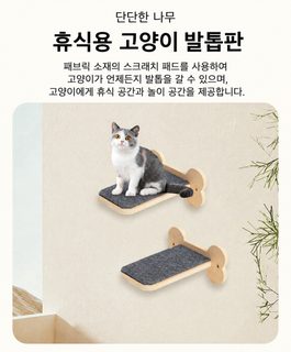 원목 벽걸이 고양이 캣타워 캣워크 계단 실내 캣월 점프 놀이 발판
