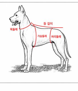 강아지 옷 가을/겨울 가융 말티스 소향풍 가을/겨울 원피스 소형견 요크셔비베어