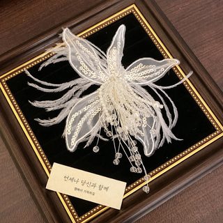 할로윈 깃털 머리핀 진주 태슬 발레코어 여성 헤어핀 파티 머리장식