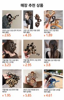 프렌치 무드 레오파드 리본 대형 집게핀 여성 헤어클립
