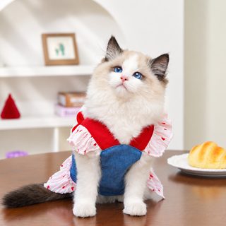반려견 반려묘 데님 멜빵 원피스 하트 끈 포함 강아지 고양이 치마 옷