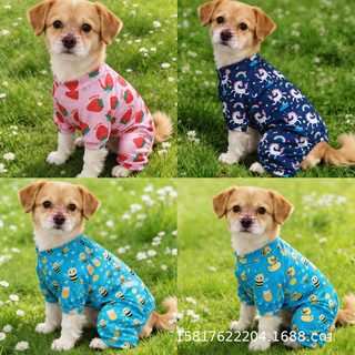 강아지 고양이 사계절 카툰 캐릭터 패턴 네발 올인원 반려동물 의류