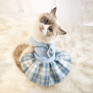 반려견 가을 겨울 니트 JK 체크 원피스 소형견 강아지 스쿨룩 공주 드레스