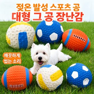 강아지 장난감 발성구 내구성 이를 갈고 답답함을 해소하는 신기 강아지 코키 강아지 금모 대형견 애완동물 용품