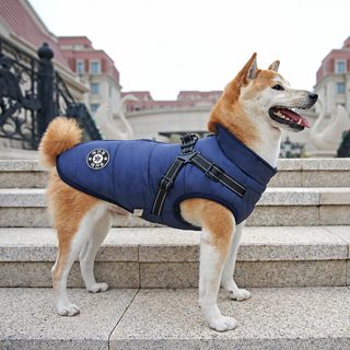 강아지 겨울 패딩 조끼 하네스 일체형 소형견 중형견 대형견 보온 산책용