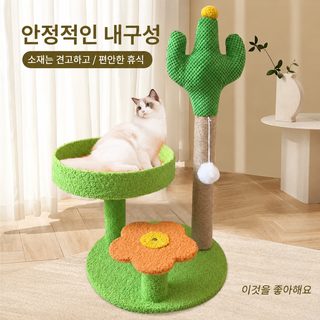 고양이 캣타워 캣하우스 스크래처 선인장 파인애플 하우스 일체형 고양이
