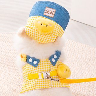 강아지 고양이 산책용 하네스 리드줄 세트 체크 모자 반려동물 외출용품
