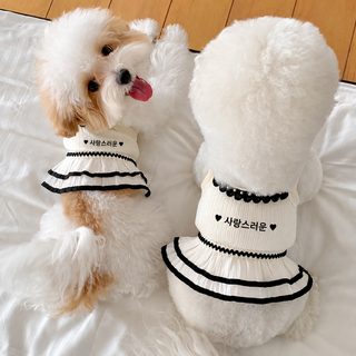 여름 새 얇은 탱크톱 조끼 망사 비숑 테디 보미 연신 치마 강아지 고양이 털