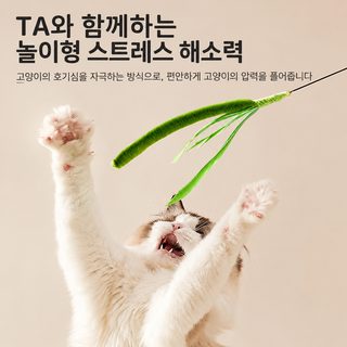 고양이 초장대 강아지풀 캣티저 깃털 스틸 와이어 셀프놀이 장난감