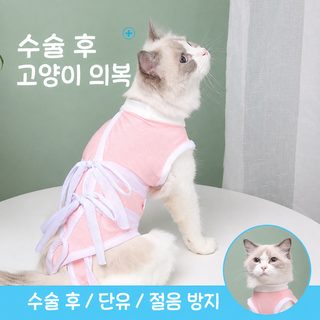 브루 고양이 불임복 고양이 수술복 애완동물 옷 암컷 고양이 젖 떼기 핥기