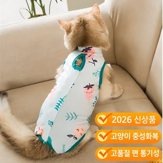 고양이 옷 수술복 중성화복 봄여름 얇은 사족복 핥음 방지 털 빠짐 방지