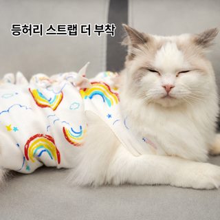 신형 스트랩식 절임복 고양이 절임복 수술복 이유복 면포 통기술 후 의류