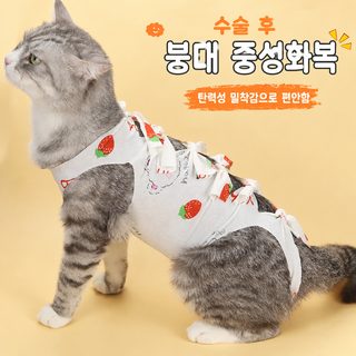 고양이 불임복 암고양이 이유복 애완동물 수술 후 옷 핥기 방지 암캐 고양