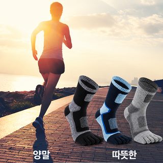 남성 다섯 손가락 양말 중통 분지 양말 땀 흡수 통기 발가락 양말 내마모 운