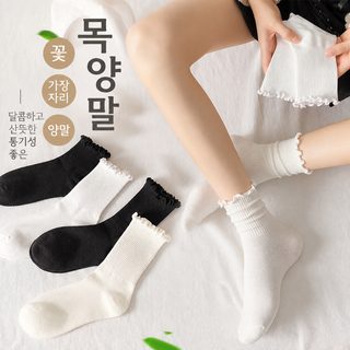 봄여름 패션 더미 양말 순색 목이버섯 레이스 양말 여중통 귀여운 일본계 JK