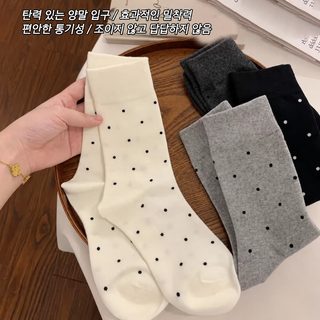 양말 백 켤레 여자 봄 가을 2025 신형 왕홍 파점 귀여운 스타킹 백 켤레 회색 중통 더미 양말
