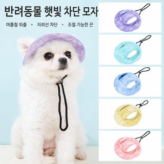 강아지 고양이 귀 노출 차양 버킷햇 조절끈 단추 반려동물 모자