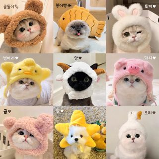 강아지 고양이 캐릭터 모자 반려동물 털실 코스튬 촬영용 귀여운 변신 헤드