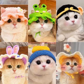 강아지 고양이 뜨개 모자 반려동물 코스튬 손뜨개 니트 헤드웨어 귀여운 변